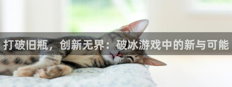 打破旧瓶，创新无界：破冰游戏中的新与可能