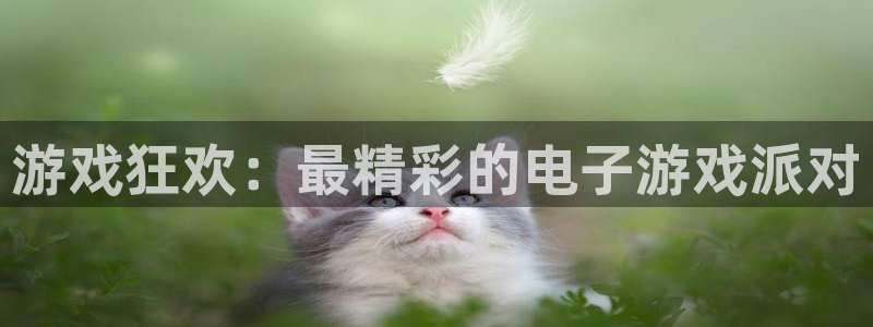 游戏狂欢：最精彩的电子游戏派对