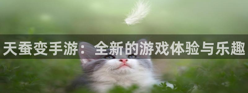 k8凯发中国天生赢家·一触即发