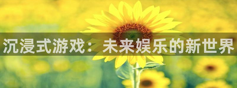凯发k8旗舰平台：沉浸式游戏：未来娱乐的新世界