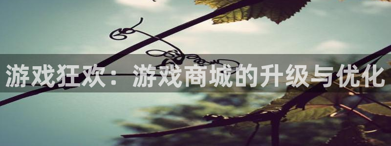 ks8凯发官方手机版：游戏狂欢：游戏商城的升级与优化