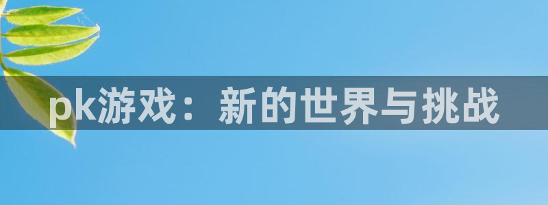 k8凯发集团：pk游戏：新的世界与挑战