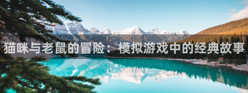 k8凯发天生赢家一触即发最新章节更新日志：猫咪与老鼠的冒险：