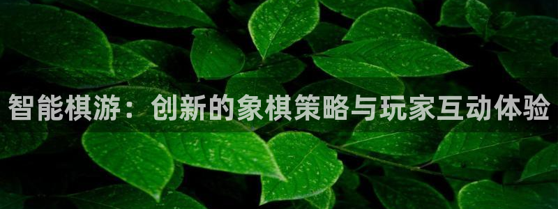 k8凯发官网网址