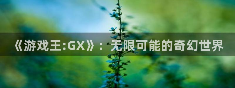 ks8凯发注册平台免费下载：《游戏王:GX》：无限可能的奇幻