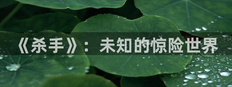 k8凯发人生赢家：《杀手》：未知的惊险世界