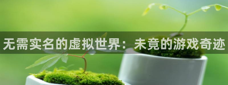 K8凯发·国际官方网站：无需实名的虚拟世界：未竟的游戏奇迹